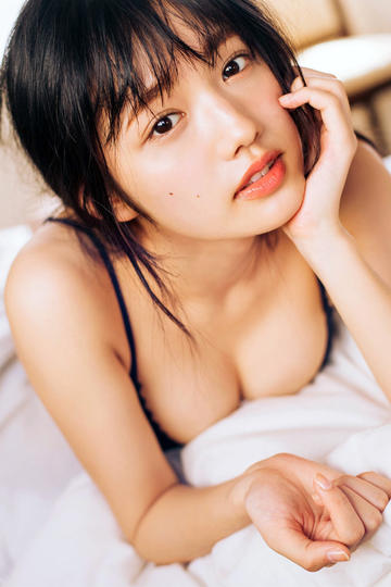 老爷，别闹